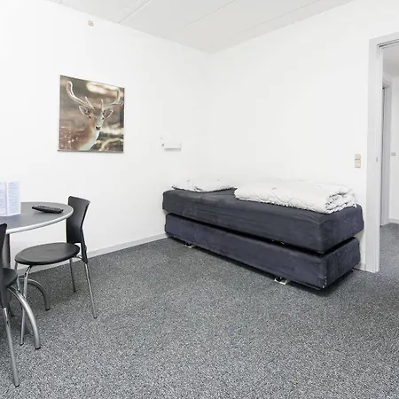 호스텔 Danhostel 바일레