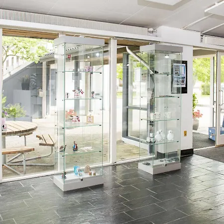 Hostel Danhostel Βέιλε